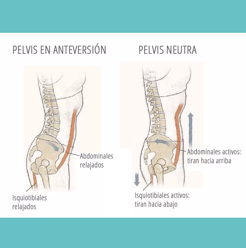 Pilates como tratamiento de la incontinencia urinaria de esfuerzo (I.U.E). Parte III