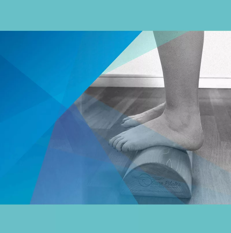 Taller de Método del Tronco: 5P