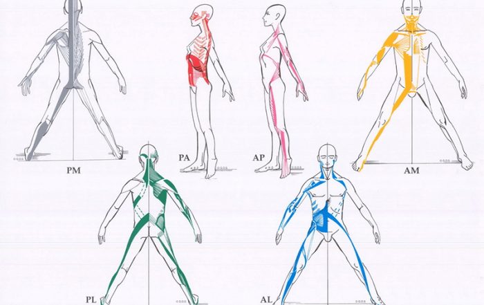 Formación en biomecánica y técnicas de tratamiento en GDS en Sane Pilates