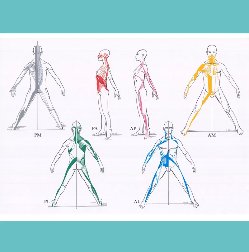 Formación en biomecánica y técnicas de tratamiento en GDS en Sane Pilates