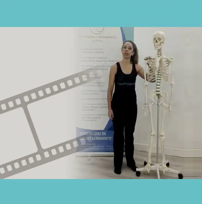 Comportamiento de Cadenas Musculares GDS: Supraespinoso