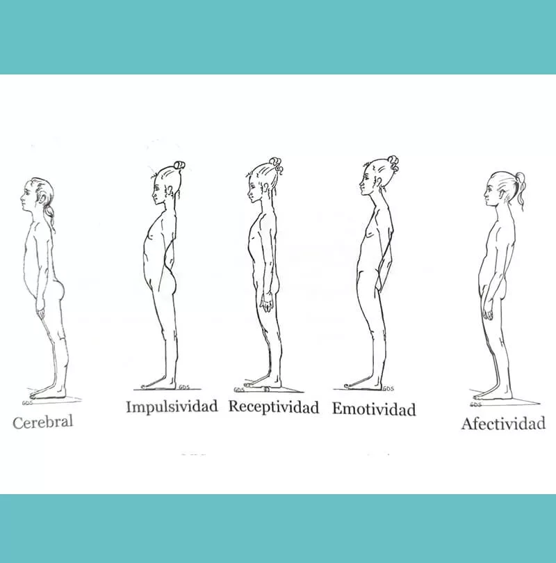 con-cual-de-estas-figuras-te-identificas